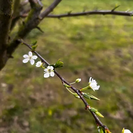 Lekuona Homestay szállás
