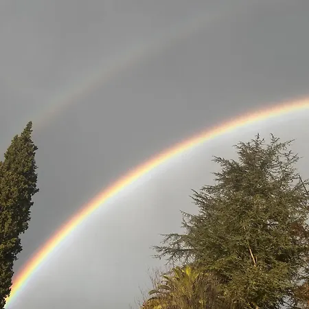 Lekuona *