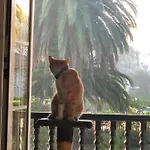 Lekuona Séjour chez l'habitant *